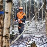 Stihl HTA 150, podkrzesywarka akumulatorowa