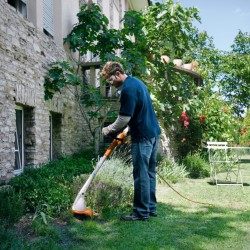 Podkaszarka elektryczna STIHL FSE 31 245 W
