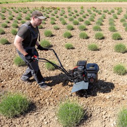 AL-KO MH 540 Comfort Glebogryzarka spalinowa 54 cm