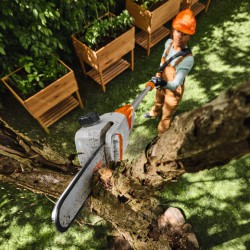 Stihl HTA 30 podkrzesywarka akumulatorowa zestaw bez akumulatora